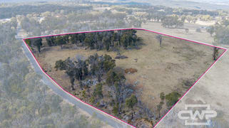 29, 41 Gilligans Lane Torrington NSW 2371