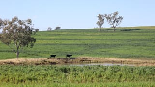 329 Pickfords Road Yetman NSW 2410