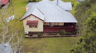 Cedar Party NSW 2429
