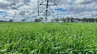 665 Airport Road Three Moon QLD 4630