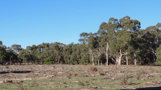 225 Coles-Killanoola Road Coles SA 5272