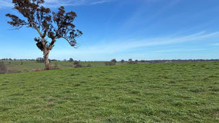 240 Harrow-Clear Lake Road Harrow VIC 3317