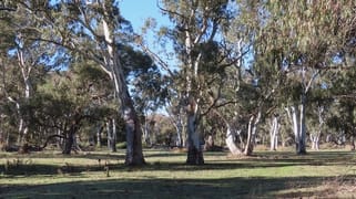 225 Coles-Killanoola Road Coles SA 5272