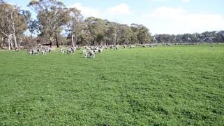202 Malones Road Naracoorte SA 5271