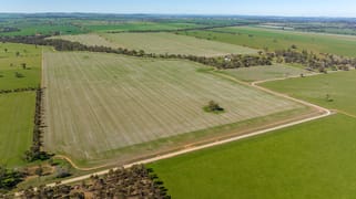 166 Mathews Road Downside NSW 2650