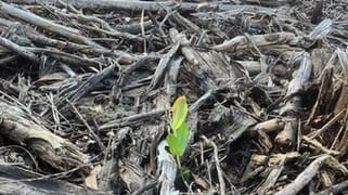 9 Beaumont Drive Soldiers Hill VIC 3350