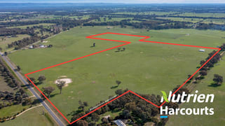 659 Wangaratta-Eldorado Road Londrigan VIC 3678