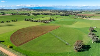 164 Settlement Bridge Road Canowindra NSW 2804