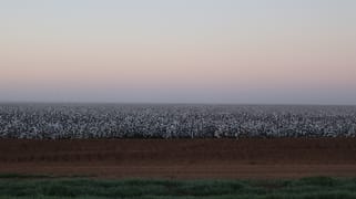 10755 Sturt Highway Euroley NSW 2700