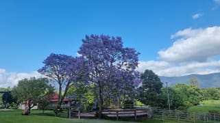 30 Larkins Road Tyalgum NSW 2484