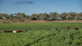 127 Flemings Road Jondaryan QLD 4403