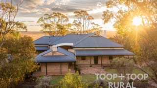 4026 Appila Road Jamestown SA 5491