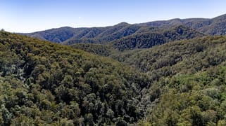 3542 Nowendoc Road Caffreys Flat NSW 2424