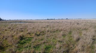 Willoughby 795 Armatree Road Armatree NSW 2828