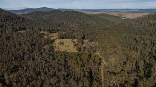 3954 Tulloch Ard Road Buchan VIC 3885