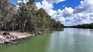 Box's Island Via Renmark Road Wentworth NSW 2648