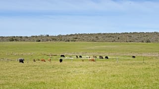 Lt 1 & 3 Paterson Road Monjingup WA 6450
