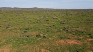 'Acacia Ridge' 511 Tapscott Rd Orroroo SA 5431