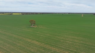 'SECKHOLDS' Bradshaws Lane Coolamon NSW 2701