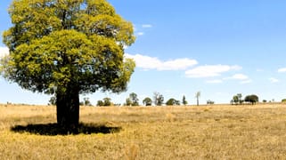 'Bendoba' 1933 Kooragan Road Injune QLD 4454