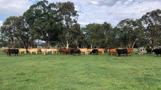 1501 River Road Runnymede VIC 3558