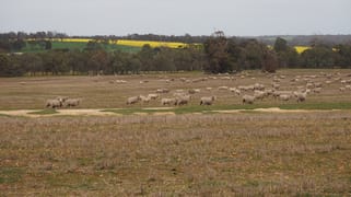 Dowrene Farm, Cnr Yerriminup and Yarralena Roads Cranbrook WA 6321