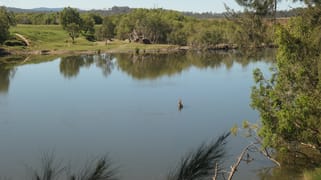 11/ Plains Station Road Tabulam NSW 2469