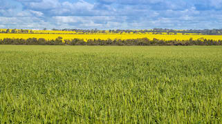 Midlands Road Marchagee WA 6515 Midlands Road Marchagee WA 6515