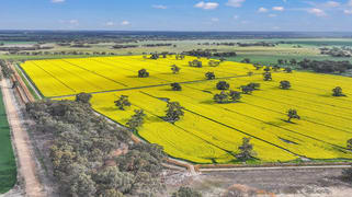 1136 Cobb Highway Deniliquin NSW 2710