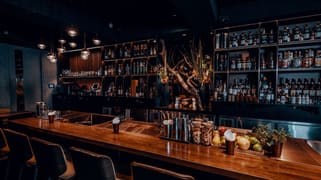 Cooks Hill NSW 2300