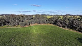 Part Westbury Goldfields Way Barmedman NSW 2668