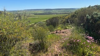 9500 Chapman Valley Road Narra Tarra WA 6532