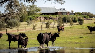 Lot 407 Telegraph Road Monjingup WA 6450