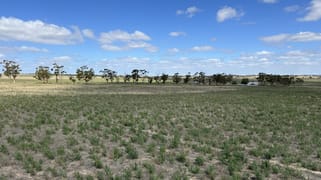 4910 Mallee Highway Peake SA 5301