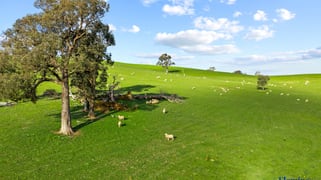 890 Perks Road Rugby NSW 2583
