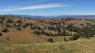 53 Halls Outlet Road Alexandra VIC 3714