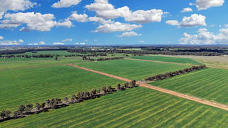 4005 Lachlan Valley Way Forbes NSW 2871