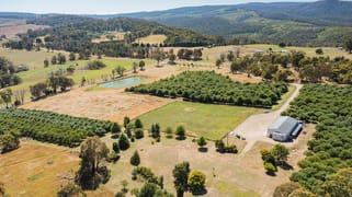 1 Willigobung Road Tumbarumba NSW 2653