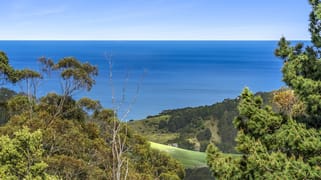 675 Skenes Creek Road Skenes Creek North VIC 3233