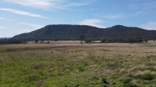 1022 Ridgelands Road Muswellbrook NSW 2333