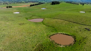 242 Bundaleer Road Newbridge NSW 2795