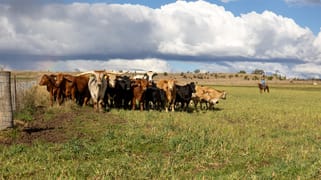 643 Silvermines Road Elsmore NSW 2360