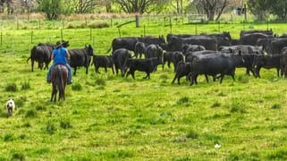 650 Donalds Creek Road Scone NSW 2337