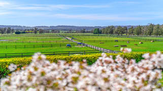 366 Headlam Road Moss Vale NSW 2577