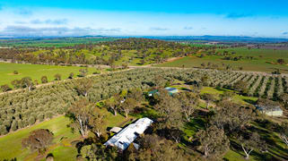 15 Mary Gilmore Road Wagga Wagga NSW 2650