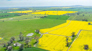 596 Gum Swamp Road Balldale NSW 2646