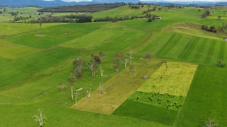261 Weegena Road Kimberley TAS 7304