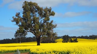 Kilburnie Etna Road Broomehill WA 6318
