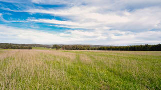 Lot 3 Perup Road Manjimup WA 6258