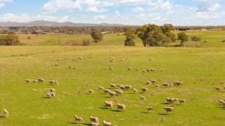 Millthorpe NSW 2798